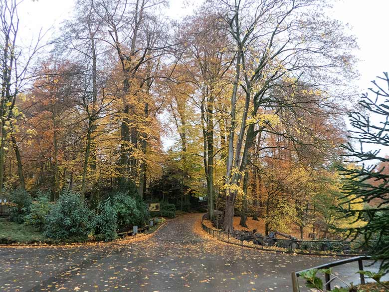 Herbstlicher Besucherweg am 11. November 2018 im Zoologischen Garten der Stadt Wuppertal