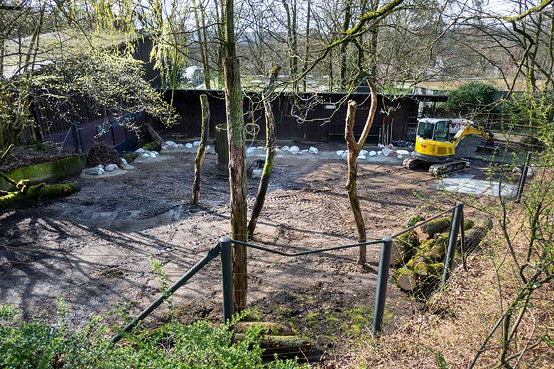 Bauarbeiten zur Erweiterung der Anlage für Pinselohrschweine am 14. März 2024 auf dem Areal der ehemaligen Bongo-Anlage im Wuppertaler Zoo
