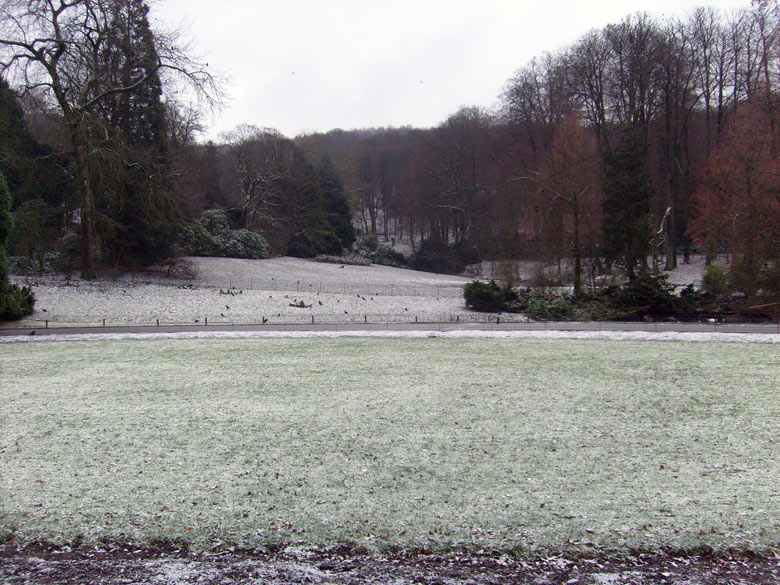 Ein Hauch Schnee im Zoo Wuppertal am 1. Januar 2010