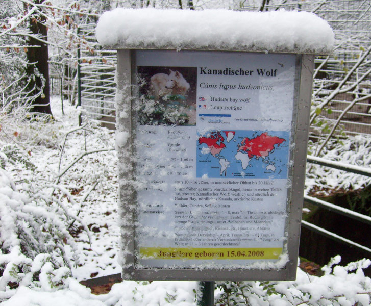 Informationsschild Kanadischer Wolf im Wuppertaler Zoo im November 2008