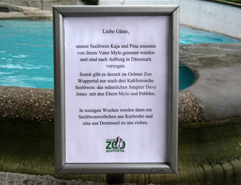 Information am 4. August 2016 an der Außenanlage der Kalifornischen Seelöwen im Grünen Zoo Wuppertal zu den Veränderungen im Tierbestand