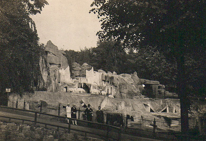 Eisbären-Gruppe im Zoologischen Garten Wuppertal-Elberfeld um 1929
