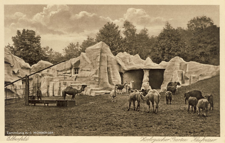 Große Heufresser-Wiese im Zoologischen Garten Elberfeld um 1915 (Sammlung H.-J. Momberger)