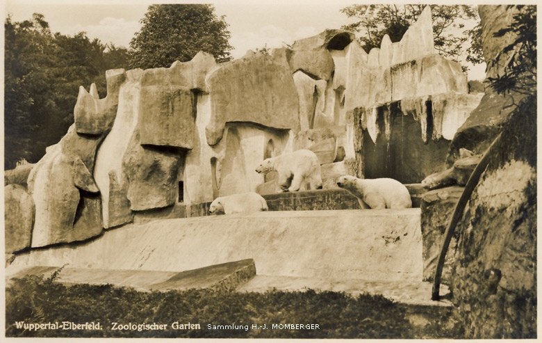Eisbären-Gruppe im Zoologischen Garten Wuppertal-Elberfeld (Sammlung H.-J. Momberger)