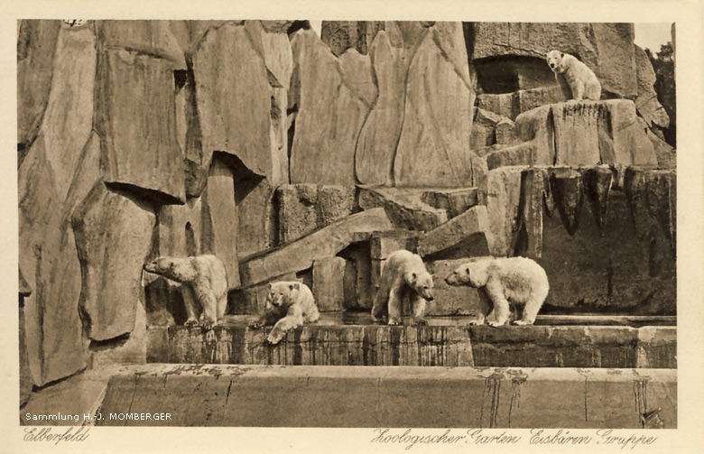 Eisbären-Gruppe im Zoologischen Garten Elberfeld (Sammlung H.-J. Momberger)