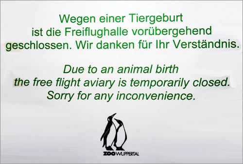 Information am 5. Dezember 2015 im Vogelhaus zur Schließung der Freiflughalle wegen Tiergeburt im Zoologischen Garten Wuppertal