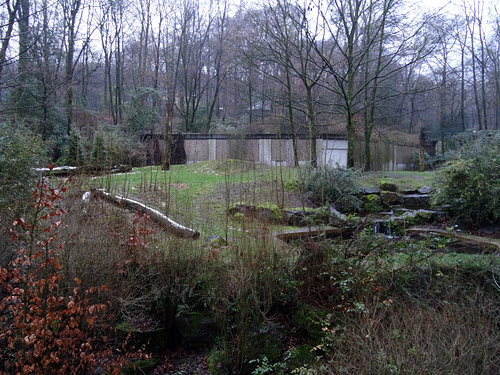 Verwaiste Freianlage für Kodiakbären am 16. Januar 2016 im Zoologischen Garten der Stadt Wuppertal