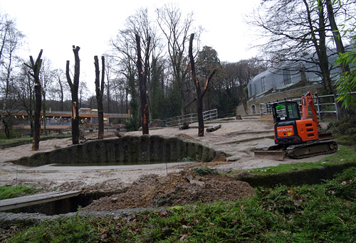 Fünf neue Baumstämme auf der Freianlage für Afrikanische Elefanten Mitte Januar 2016 im Grünen Zoo Wuppertal