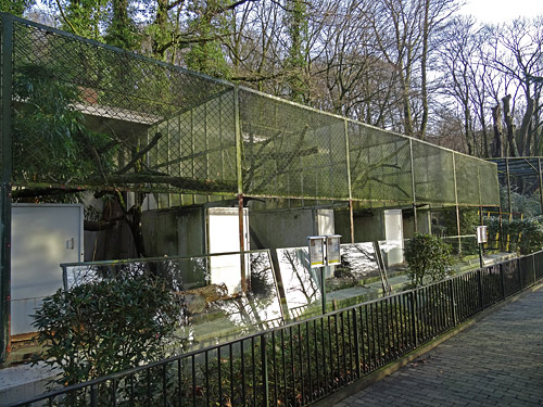 Fensterrestaurierung am Kleinkatzenhaus am 28. Januar 2016 im Grünen Zoo Wuppertal