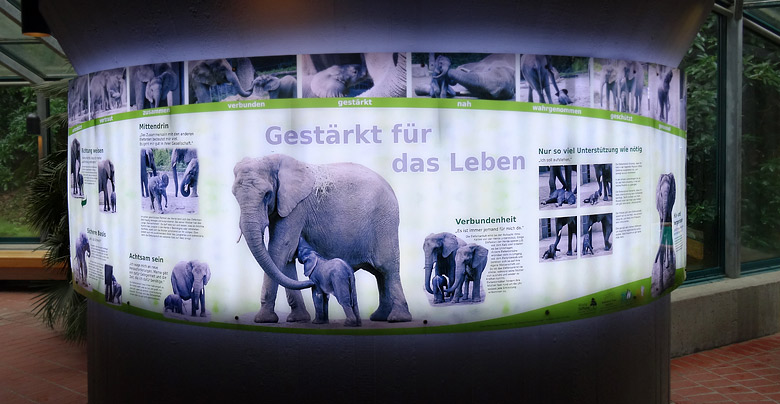 Infotafel "Gestärkt für das Leben" Anfang März 2016 im Elefantenhaus im Zoologischen Garten der Stadt Wuppertal