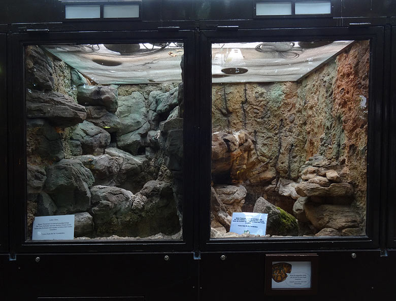 Leere Gehege der Rauhschuppenpythons und der Königspythons am 5. März 2016 im Terrarium im Zoologischen Garten der Stadt Wuppertal