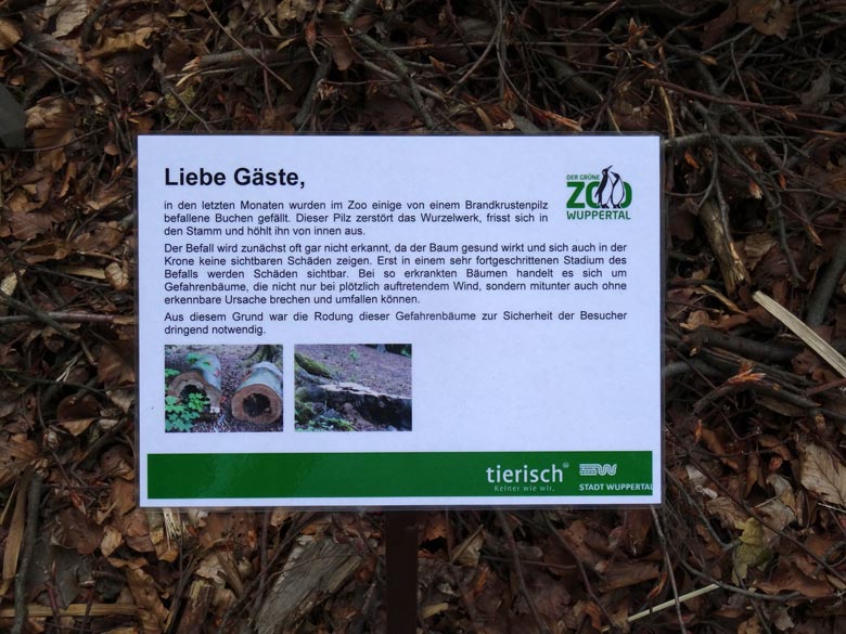 Information zu Gefahrenbäumen am 26. Mai 2016 im Grünen Zoo Wuppertal
