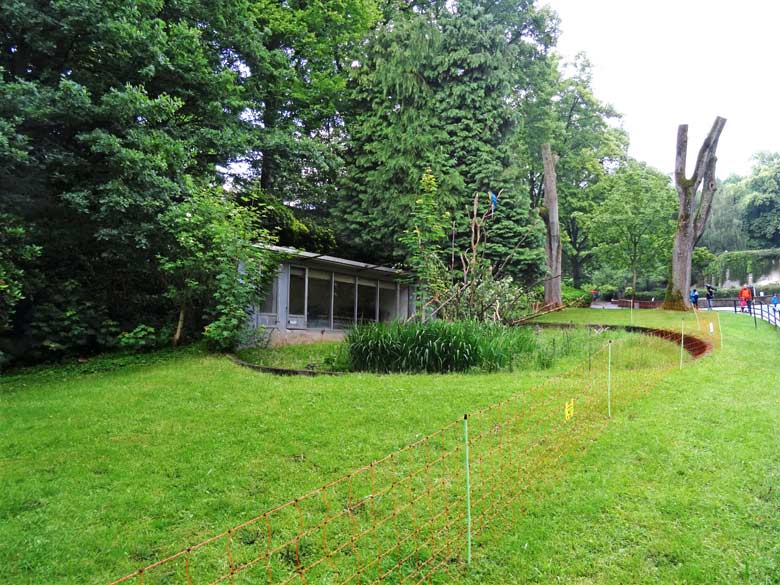 Aus Sicherheitsgründen tagsüber abgesperrte Anlage für Gelbbrustaras am 18. Juni 2016 im Grünen Zoo Wuppertal