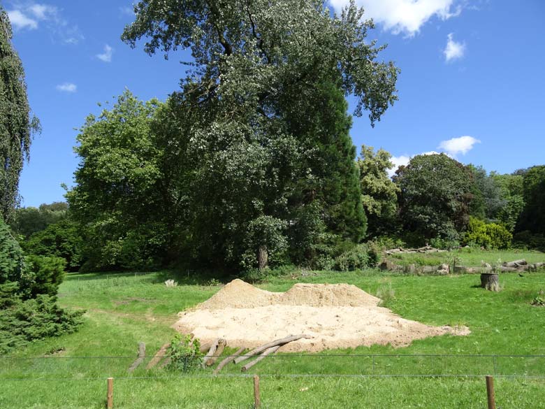 Neugestaltung eines Teils der Vogelwiese für Präriehunde am 2. Juli 2016 im Grünen Zoo Wuppertal