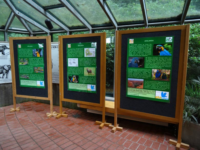 Drei Poster zum Projekt "Aralandia" am 19. August 2016 im Elefantenhaus im Grünen Zoo Wuppertal
