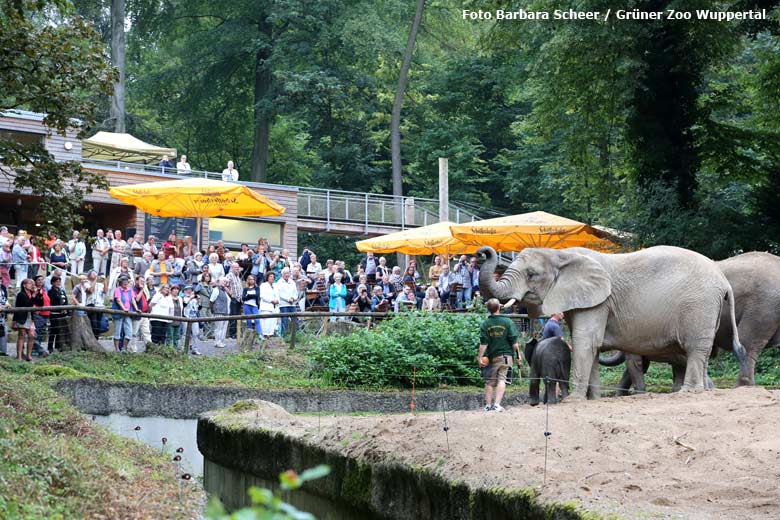 Erster Sommerempfang des Zoo-Vereins Wuppertal e.V. am 19. August 2016 im Grünen Zoo Wuppertal (Foto Barbara Scheer - Grüner Zoo Wuppertal)
