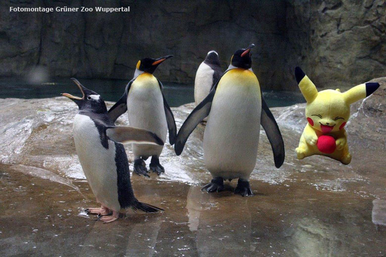 Pokémon mit Pinguinen im Grünen Zoo Wuppertal (Fotomontage Grüner Zoo Wuppertal)