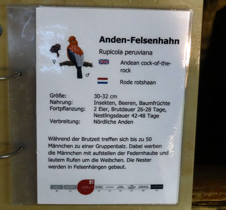 Beispiel für besucherfreundliche Detail-Informationen zu einer Vogelart in der Freiflughalle am Vogelhaus am 18. November 2016 im Zoologischen Garten der Stadt Wuppertal