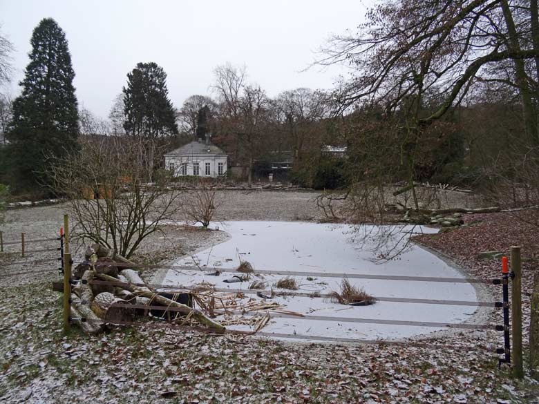 Zugefrorener Teich an der ehemaligen Vogelwiese im Januar 2017 im Grünen Zoo Wuppertal