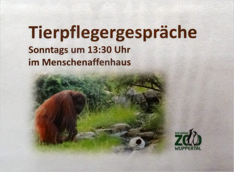 Aushang am 22. Januar 2017 mit einer Information über Tierpflegergespräche im Menschenaffenhaus im Grünen Zoo Wuppertal