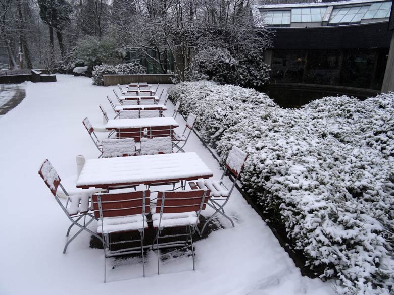 Verschneite Tische und Stühle am 11. Februar 2017 vor dem Menschenaffenhaus im Zoo Wuppertal