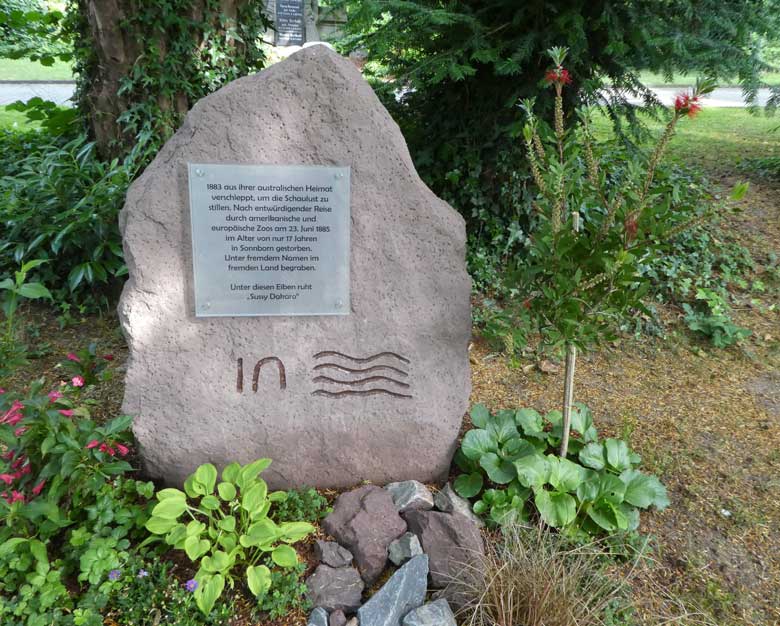 Gedenkstein für Sussy Dakaro am 15. Juni 2017 auf dem alten evangelischen Friedhof an der Kirchhofstraße 42 in Wuppertal Sonnborn