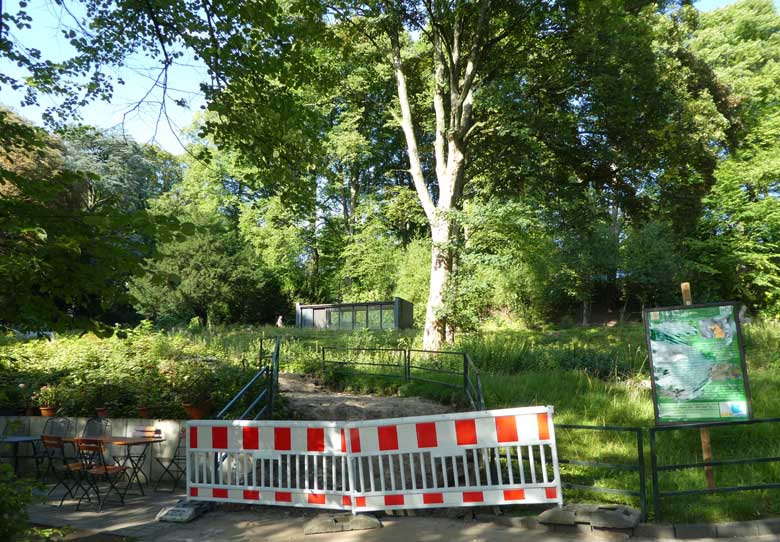 Ehemaliger Treppenaufgang zum Rosengarten am 7. August 2017 im Grünen Zoo Wuppertal