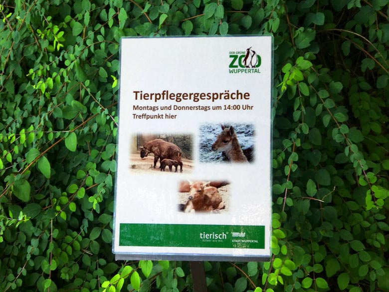 Information am 7. August 2017 zu Tierpflegergesprächen am Fachwerkhaus an der Patagonienanlage im Grünen Zoo Wuppertal