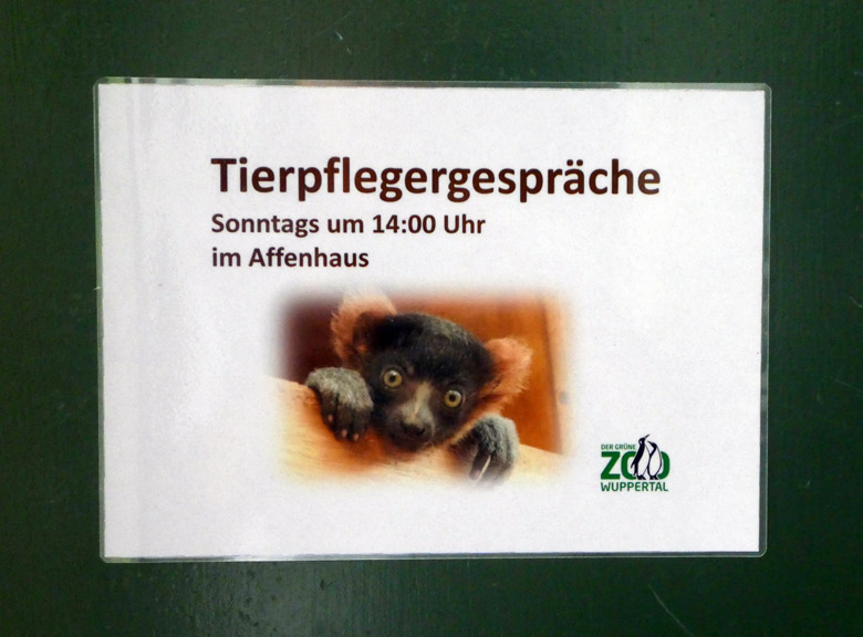 Information am 7. August 2017 zu Tierpflegergesprächen im Affenhaus im Zoologischen Garten der Stadt Wuppertal