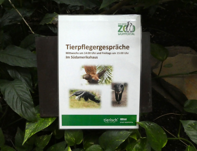 Information am 7. August 2017 zu Tierpflegergesprächen im Südamerikahaus im Zoo Wuppertal