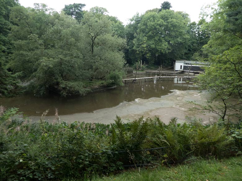 Wasserarmer Großer Teich am 26. August 2017 im Zoologischen Garten Wuppertal