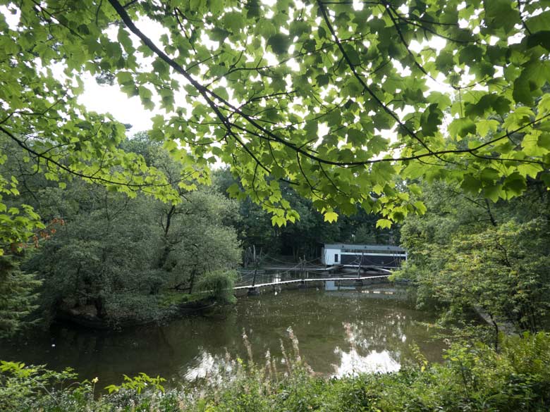 Der Große Teich am 4. September 2017 am Eingangsbereich im Grünen Zoo Wuppertal