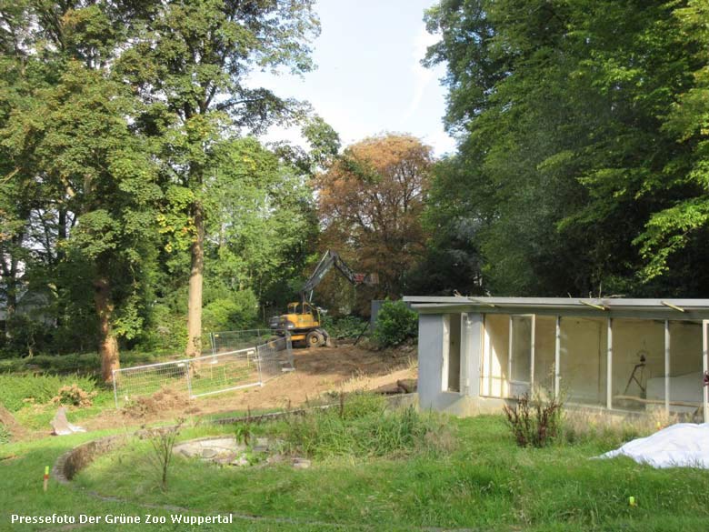 Abbrucharbeiten für die Freiflugvoliere ARALANDIA im September 2017 im Wuppertaler Zoo (Pressefoto Der Grüne Zoo Wuppertal)
