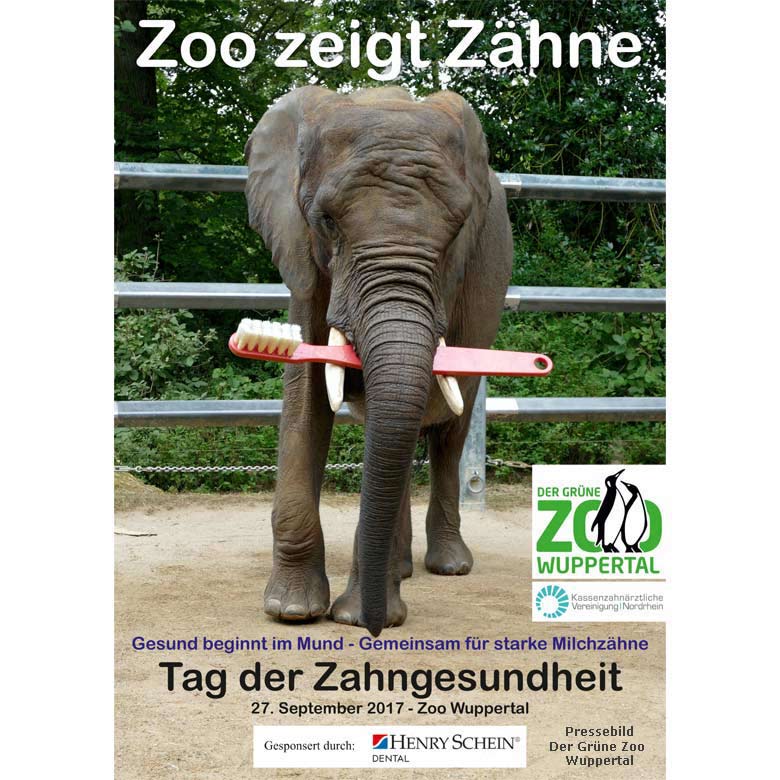 Der Zoo zeigt Zähne - Tag der Zahngesundheit am 27. September 2017 im Zoo Wuppertal (Pressebild Der Grüne Zoo Wuppertal)