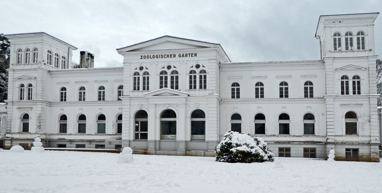 Schneemänner vor dem ehemaligen Restaurationsgebäude des Zoologischen Gartens der Stadt Wuppertal am 10. Dezember 2017
