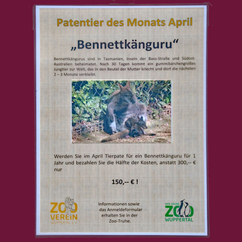 Aushang zum Patentier des Monats April 2018 im Grünen Zoo Wuppertal