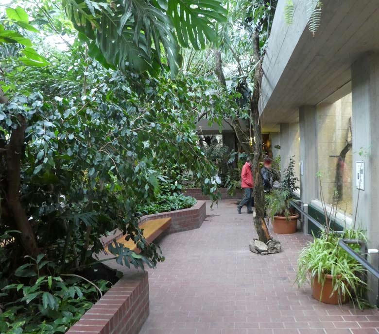 Affenhauses am 13. April 2018 im Grünen Zoo Wuppertal nach der Umgestaltung des Innenraums