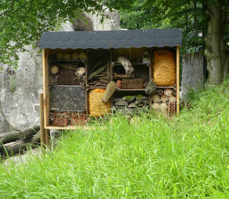 Insektenhotel am 31. Mai 2018 im Grünen Zoo Wuppertal