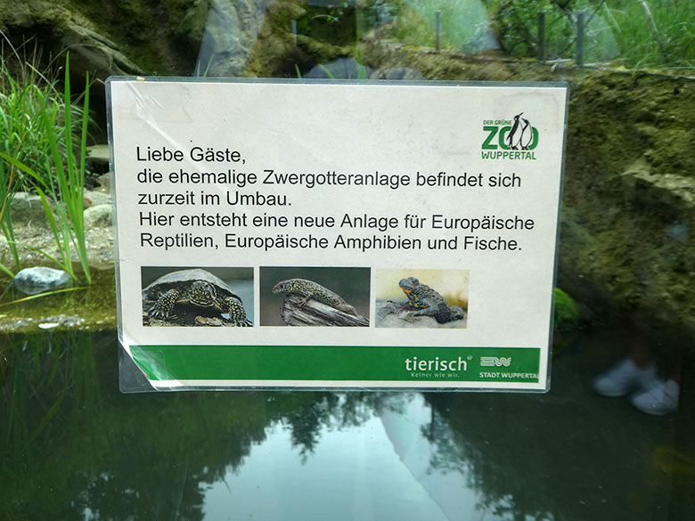 Aushang an der Anlage für Europäische Reptilien, Europäische Amphibien und Fische am 6. Juni 2018 im Grünen Zoo Wuppertal