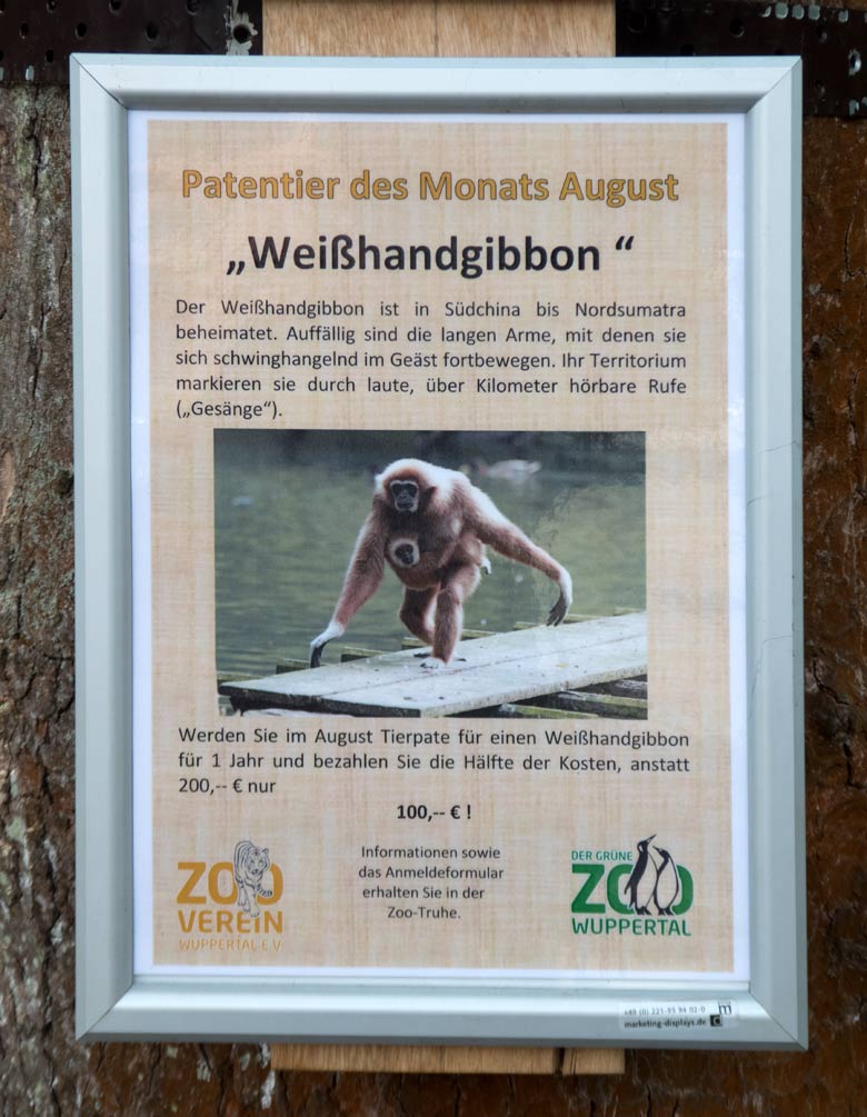 Aushang zum Patentier des Monats August 2018 im Grünen Zoo Wuppertal
