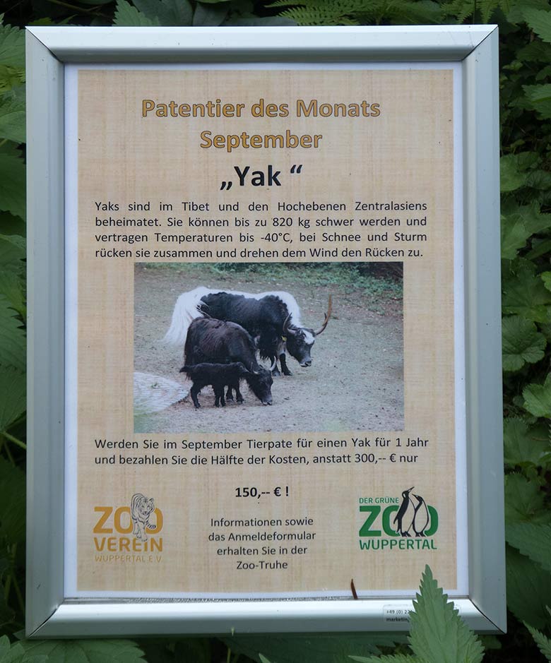 Aushang zum Patentier des Monats September 2018 im Grünen Zoo Wuppertal
