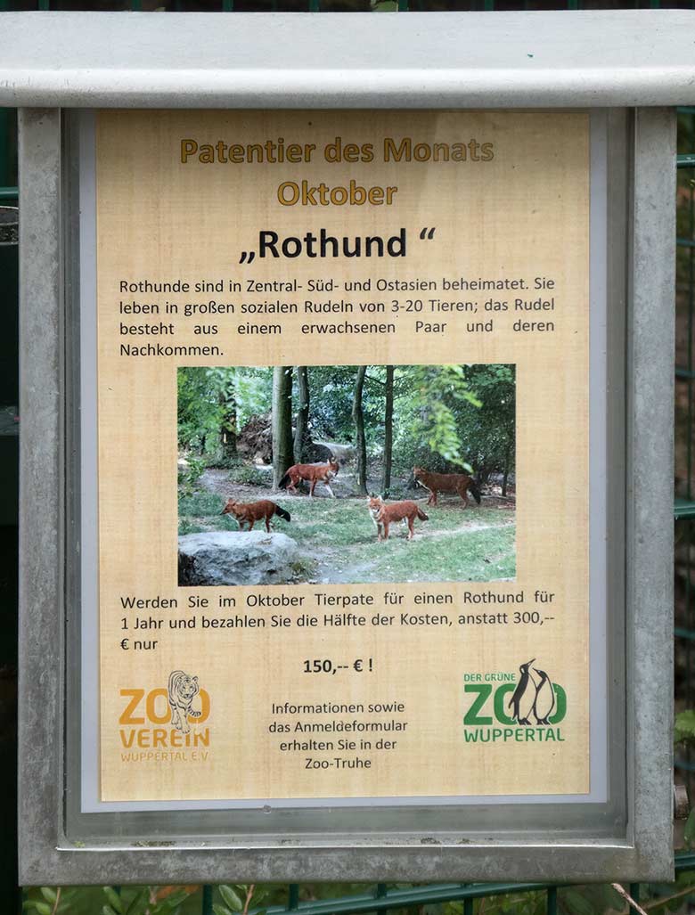 Aushang zum Patentier des Monats Oktober 2018 im Grünen Zoo Wuppertal