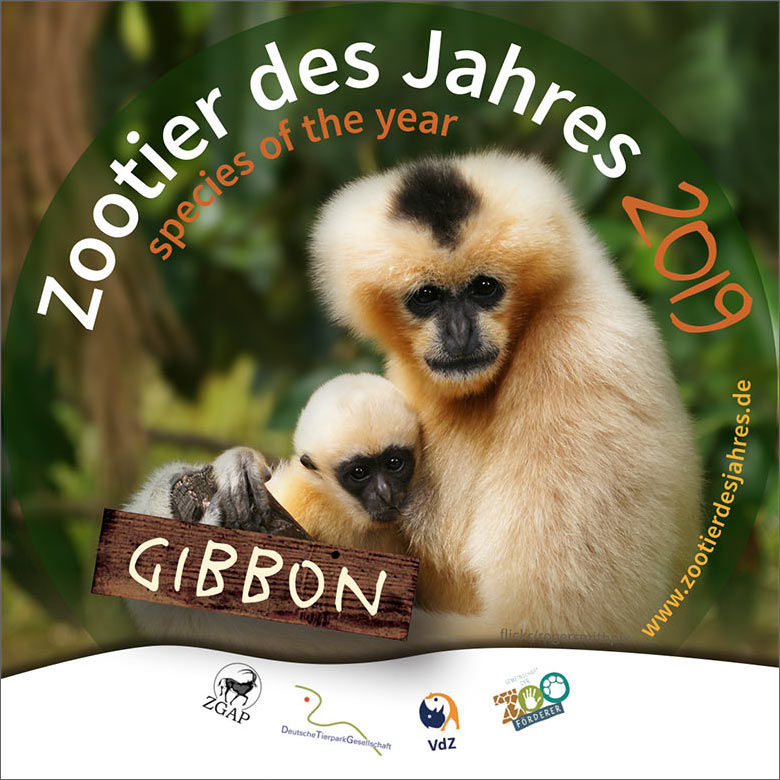 Aufkleber Zootier des Jahres 2019 - Gibbon