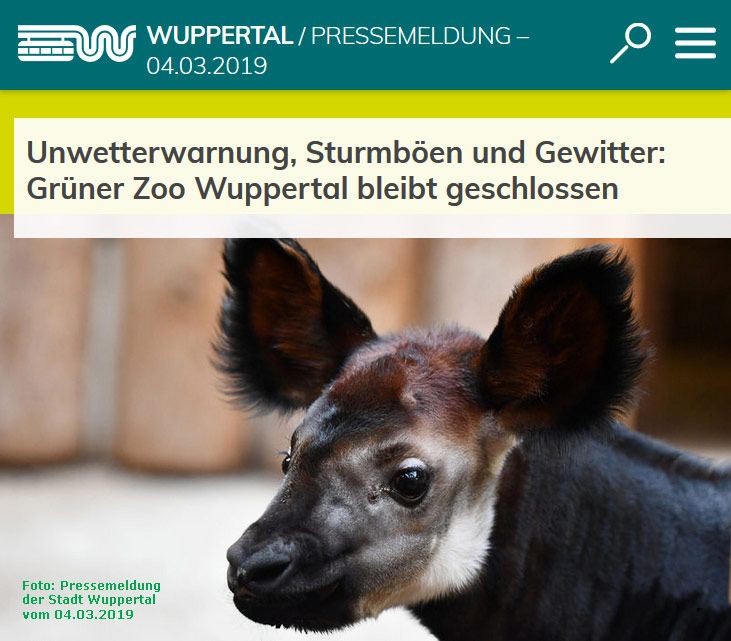 Pressemeldung der Stadt Wuppertal vom 4. März 2019: Grüner Zoo Wuppertal bleibt geschlossen