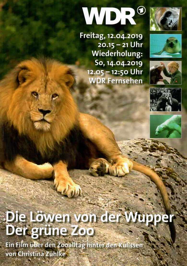 Presse-Plakat zum WDR-Film Die Löwen von der Wupper - Der grüne Zoo