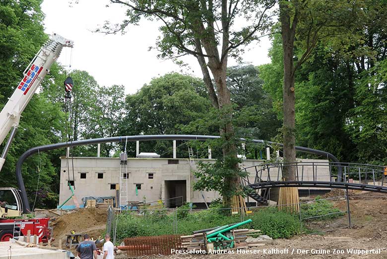 Montage von Stahlbogen Nummer 7 am 3. Juni 2019 für die begehbare Freiflugvoliere ARALANDIA im Zoologischen Garten Wuppertal (Pressefoto Andreas Haeser-Kalthoff - Der Grüne Zoo Wuppertal)