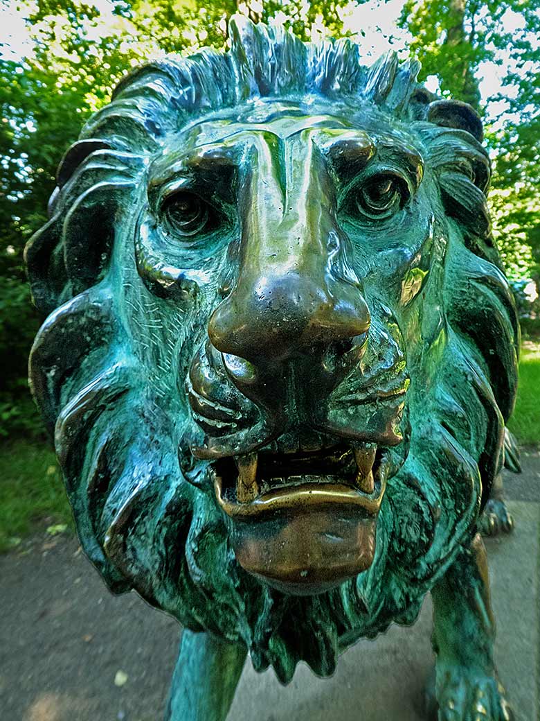 Bronzelöwe am 9. Juni 2019 im Zoologischen Garten der Stadt Wuppertal