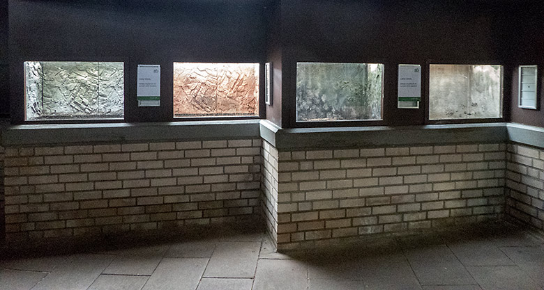 Leere Schaubecken am 12. September 2019 auf der rechten Seite im Aquarium im Wuppertaler Zoo