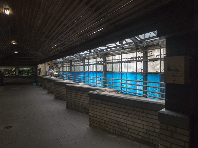 Umbauarbeiten der gesamten rechten Seite im Aquarium am 25. Oktober 2019 im Grünen Zoo Wuppertal