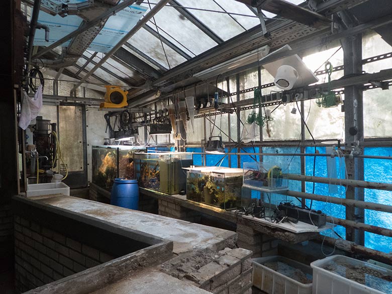 Umbauarbeiten der gesamten rechten Seite im Aquarium am 25. Oktober 2019 im Wuppertaler Zoo